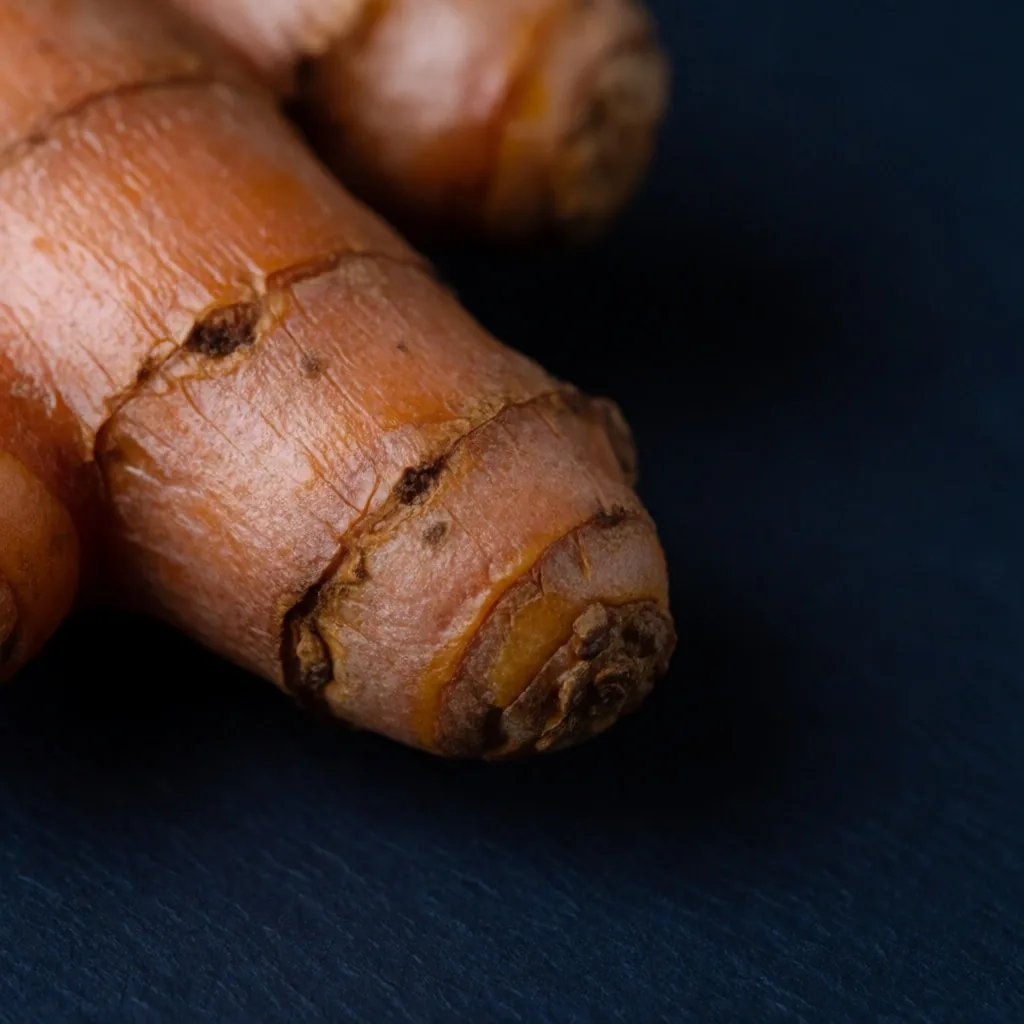 Fresh turmeric root photographed in dark indigo lighting